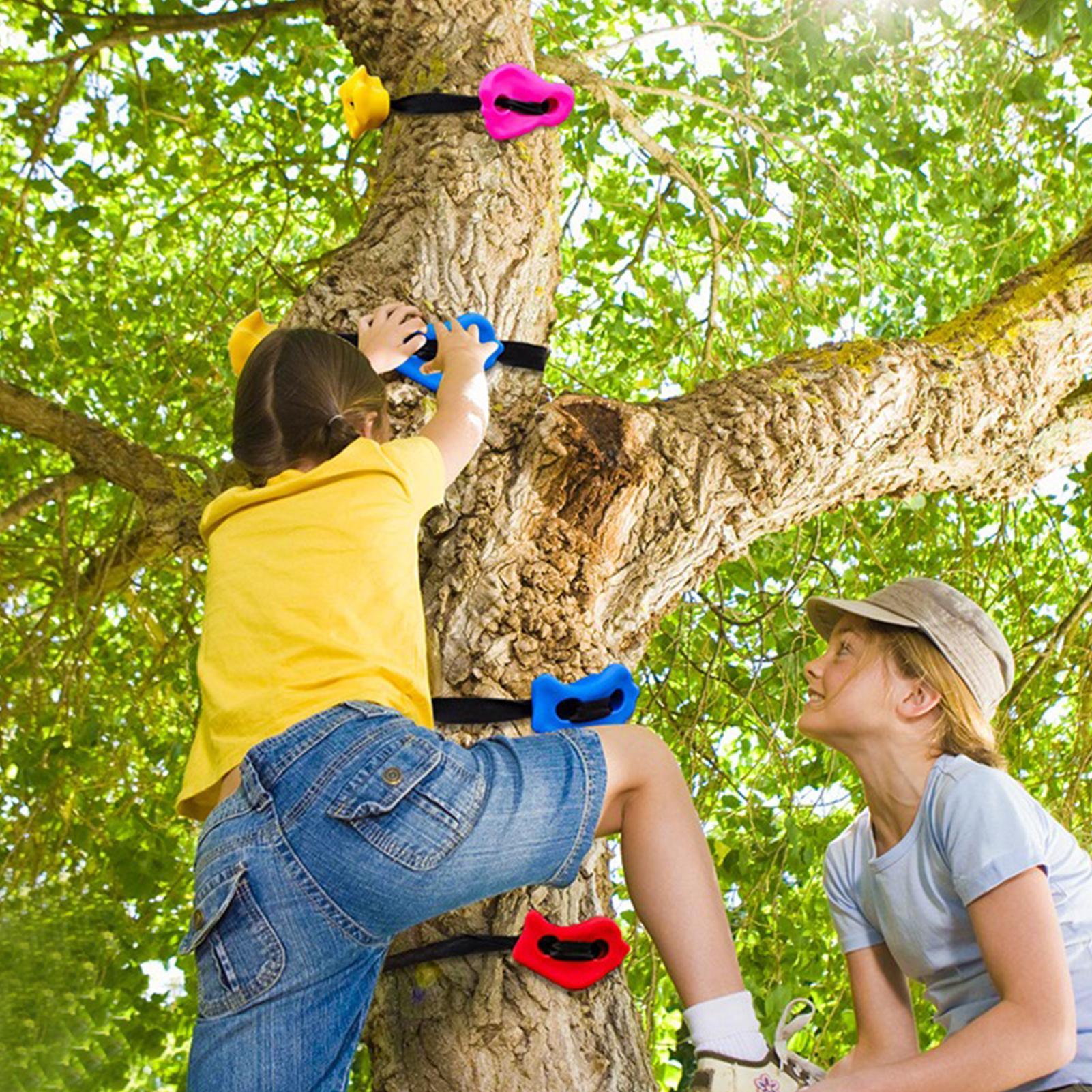 Tree Climbing Gear Adjustable  - đánh giá và giá Heavy Equipment Course