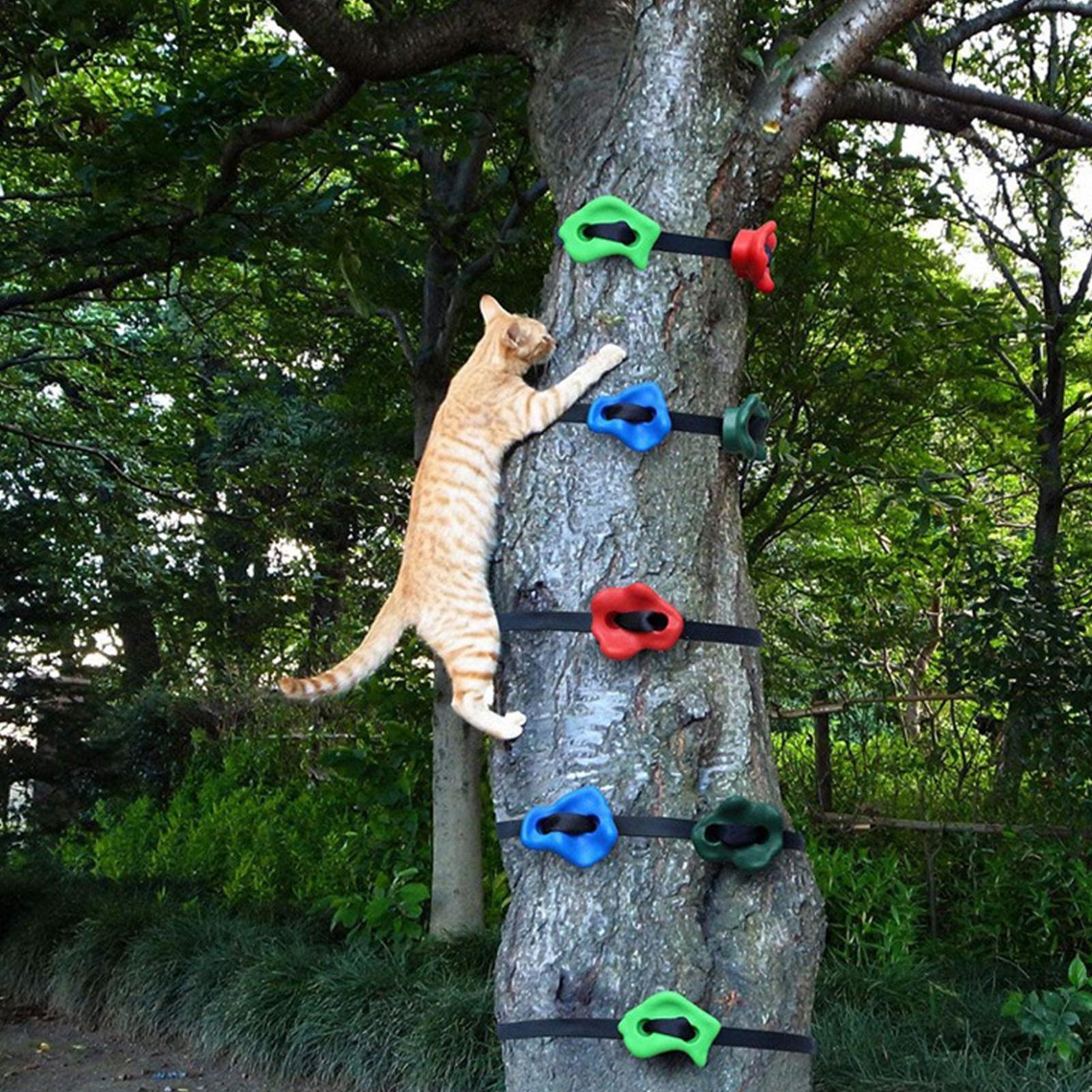 Tree Climbing Gear Adjustable  - đánh giá và giá Heavy Equipment Course